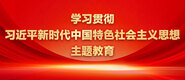 巴巴塔操逼网站学习贯彻习近平新时代中国特色社会主义思想主题教育_fororder_ad-371X160(2)